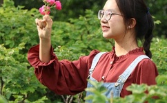 超碰在线caopom免费公开在线